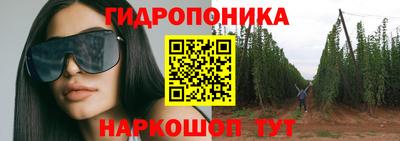 спайс Берёзовский