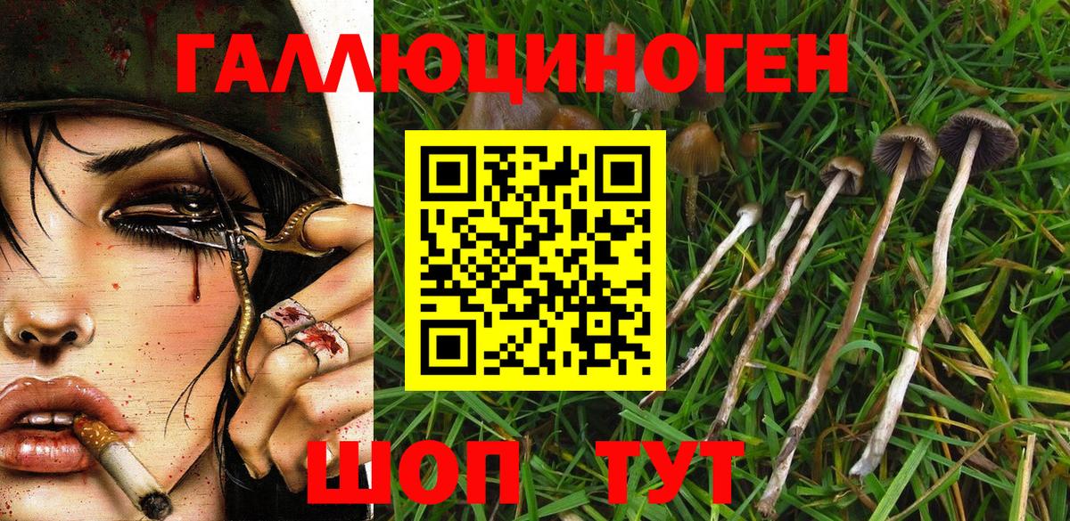 Каменск-Уральский  Псилоцибиновые грибы ЛСД  купить наркотики цена  Вход с VPN 
