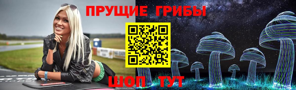 Галлюциногенные грибы Cubensis Каменск-Уральский